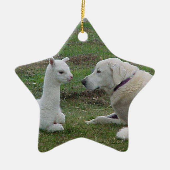 Anatoliska shepherd och Alpaca Cria Julgransprydnad Keramik (Framsidan)