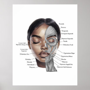 Anatomi Ansikte Print 3 Poster