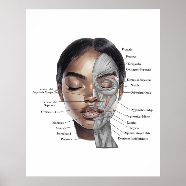 Anatomi Ansikte Print 3 Poster (Framsidan)