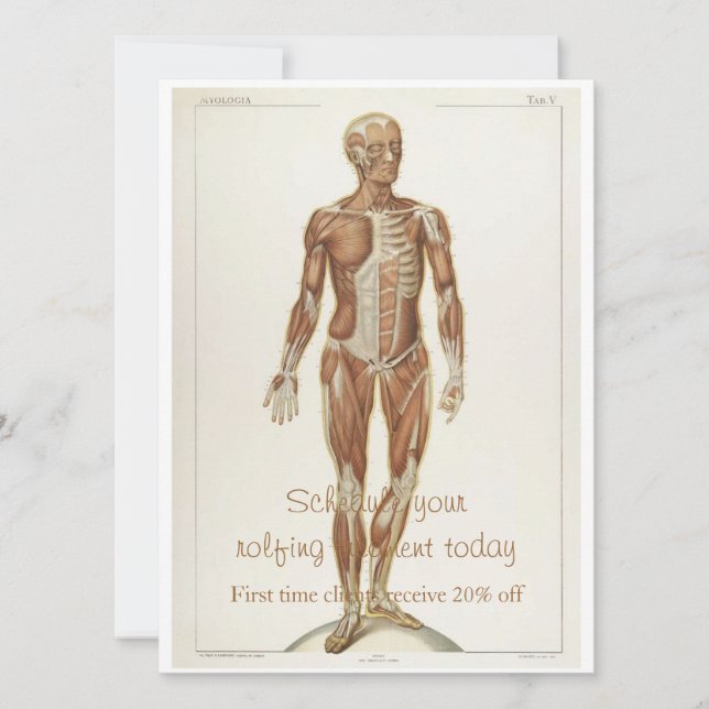 Anatomi Anterior Inbjudningar (Framsida)