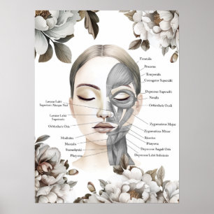 Anatomi Art Massage Therapist Gift Poster