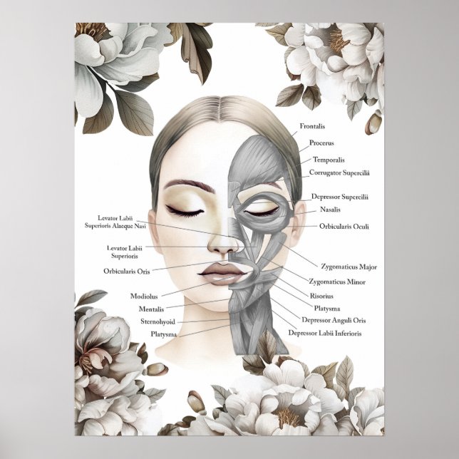 Anatomi Art Massage Therapist Gift Poster (Framsidan)