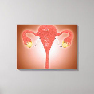 Anatomi av den kvinnliga livmodern med Ovaries Canvastryck