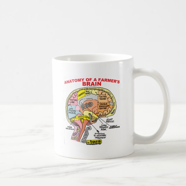 ANATOMI AV EN BONDE HJÄRNA KAFFEMUGG (Höger)