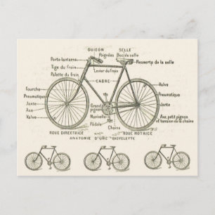 Anatomi av en cykel vykort