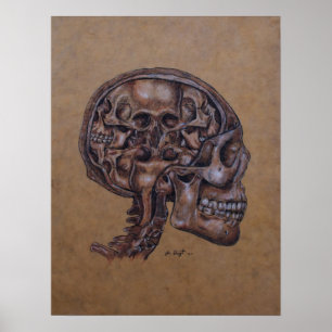 Anatomi av en Schizophrenic Poster