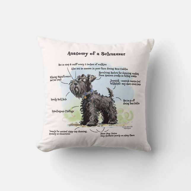 Anatomi av en Schnauzer Black Schnauzer Blue Colla Kudde (Framsida)
