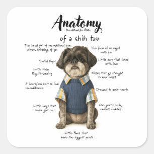 Anatomi av en Shihtzu Ovillkorlig Kärlek Edition  Fyrkantigt Klistermärke
