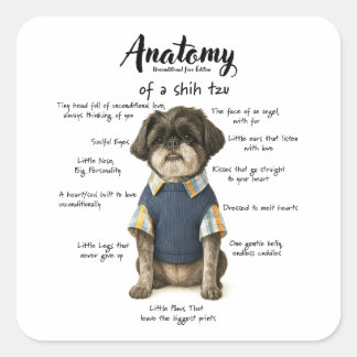 Anatomi av en Shihtzu Ovillkorlig Kärlek Edition Fyrkantigt Klistermärke