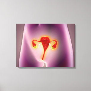 Anatomi av kvinnligt förkroppsligar med livmodern canvastryck
