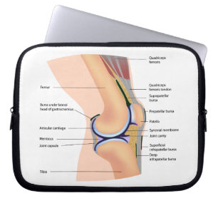 Anatomi av människaknäledelektronik hänger lös laptop fodral
