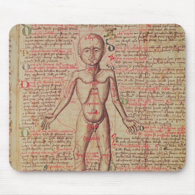 Anatomi av människokroppen musmatta (Framsidan)