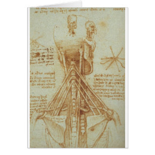 Anatomi av nacken av Leonardo Da Vinci C. 1515 Hälsningskort