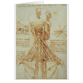 Anatomi av nacken av Leonardo Da Vinci C. 1515 Hälsningskort
