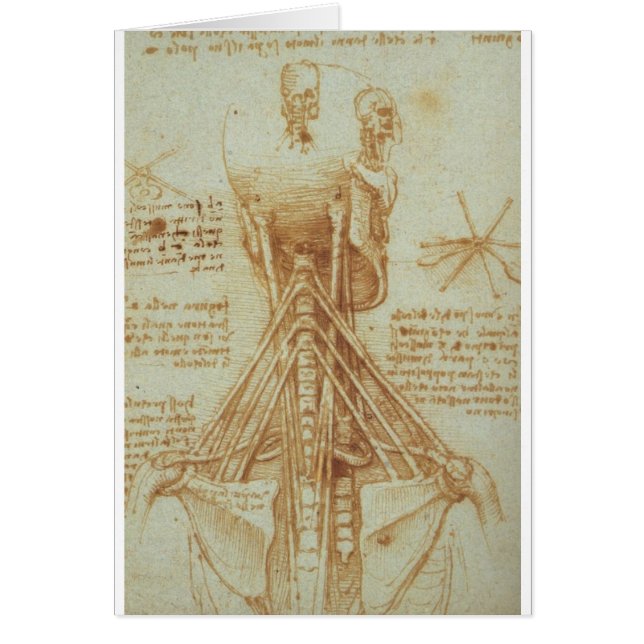 Anatomi av nacken av Leonardo Da Vinci C. 1515 Hälsningskort (Framsidan)
