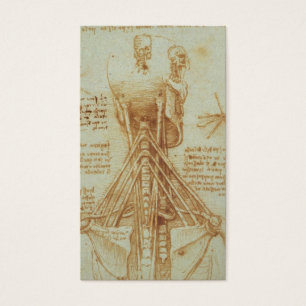 Anatomi av nacken av Leonardo Da Vinci C. 1515 Visitkort