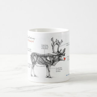 Anatomi av Rudolph kvicka illustrationer Kaffemugg