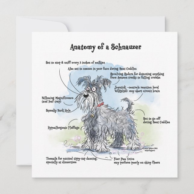 Anatomi av Schnauzer Funny Notecard Anteckningskort (Framsida)