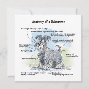 Anatomi av Schnauzer Funny Notecard Anteckningskort