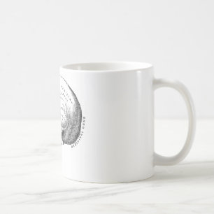 Anatomi av skallen kaffemugg