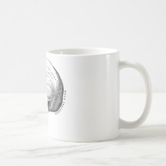 Anatomi av skallen kaffemugg