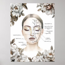Anatomi Blood Vessel Botox Decor