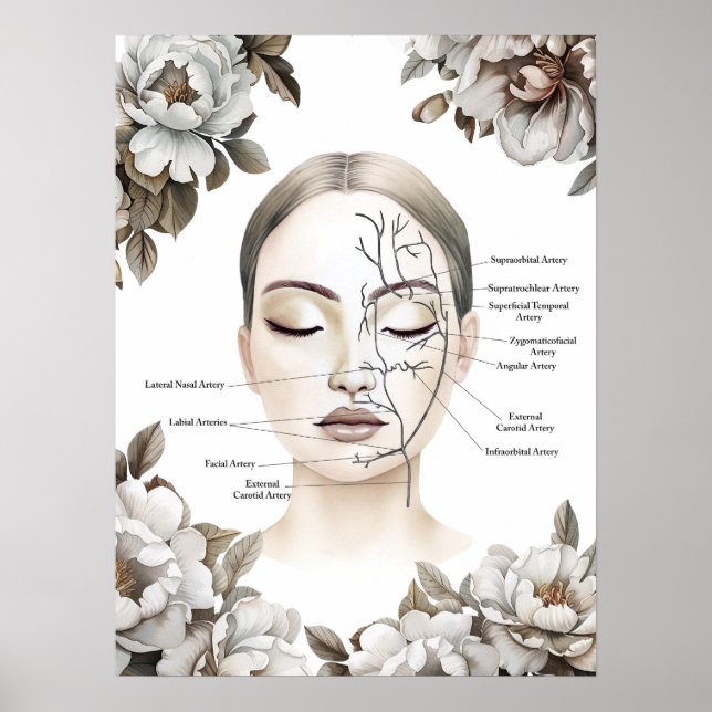 Anatomi Blood Vessel Botox Decor Poster (Framsidan)