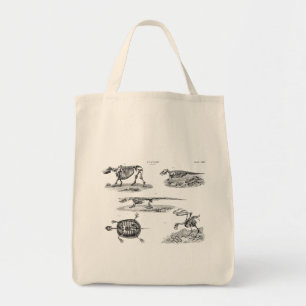 Anatomi för antikvitet för skelett för tygkasse