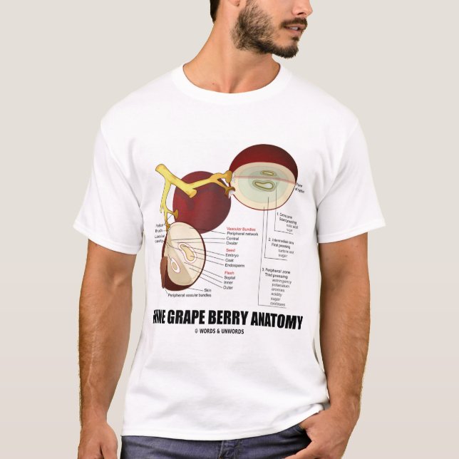 Anatomi för vindruvabär (frukt) t-shirt (Framsida)
