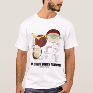 Anatomi för vindruvabär (frukt) tee