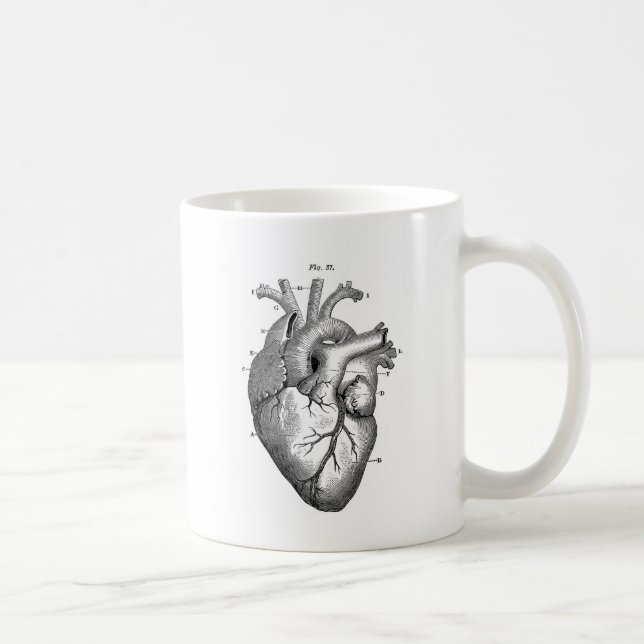 Anatomi-Hjärta-Bilder-Vintage Kaffemugg (Höger)