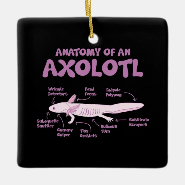 anatomi hos en axolotlaxolotlbiologi. julgransprydnad keramik (Framsida)