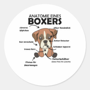 Anatomi hos en Boxergotsvett Hund-valp Runt Klistermärke