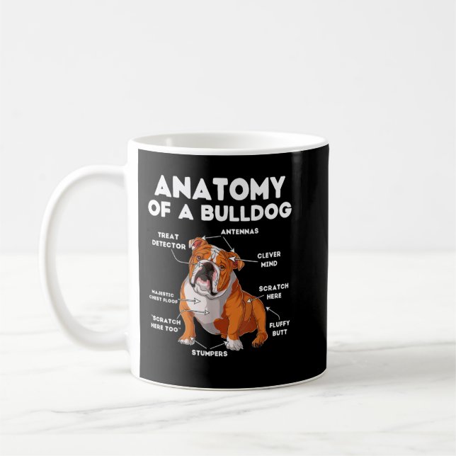 Anatomi hos en bulldog kaffemugg (Vänster)