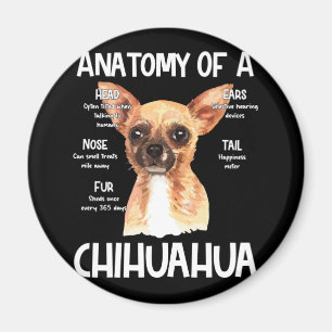 Anatomi hos en Chihuahua för Hundälskare Magnet