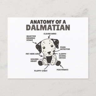 Anatomi hos en Dalmatisk sötad Hundar-puy Vykort