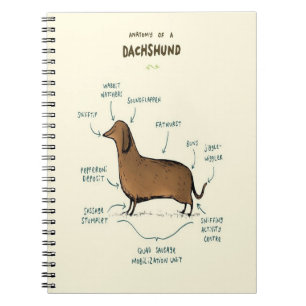 Anatomi hos en docka   Dachshund-Hundälskare Anteckningsbok