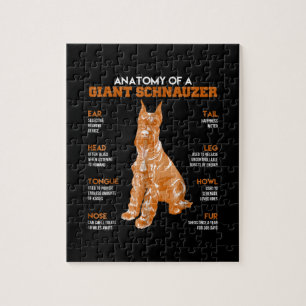 Anatomi hos en giant Schnauzer Hundar-gyttjare Pussel