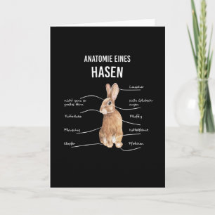 Anatomi Hos En Har Kanin Kanin Kanin Kort
