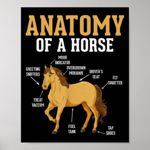 Anatomi hos en häst funny Equestrian Neigh Horse L Poster