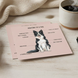 Anatomi hos en Hund Kort