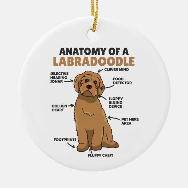 Anatomi hos en labradoodle Cute Hund-valp Julgransprydnad Keramik (Framsidan)