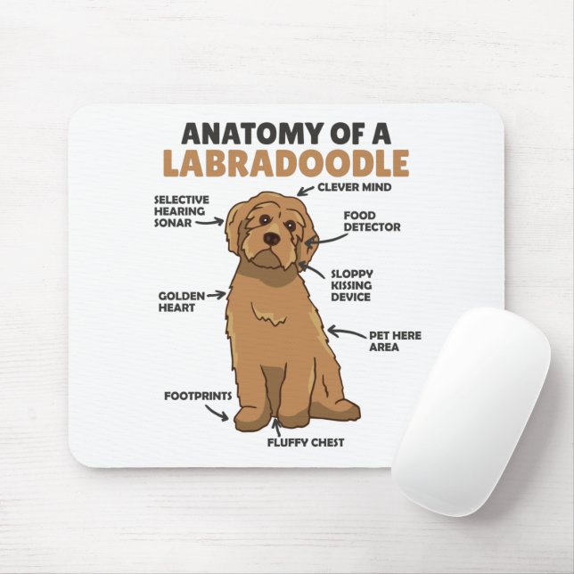 Anatomi hos en labradoodle Cute Hund-valp Musmatta (Med mus)