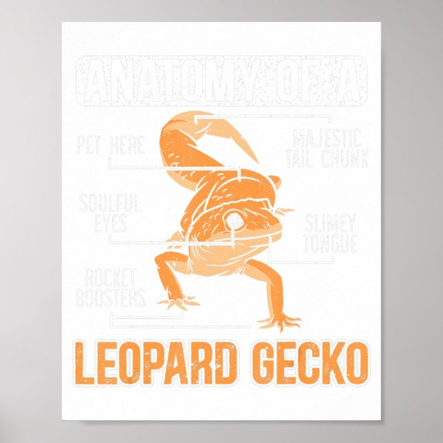 Anatomi hos en leopard Gecko Älskare Lizard Animal Poster (Framsidan)