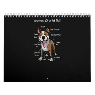 Anatomi hos en Pitbull Kalender