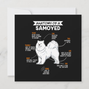 Anatomi hos en provad Hund Inbjudningar