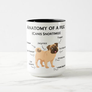Anatomi hos en Pug Mugg