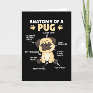 Anatomi hos en pug Sweet Hundar-stilig valp Kort