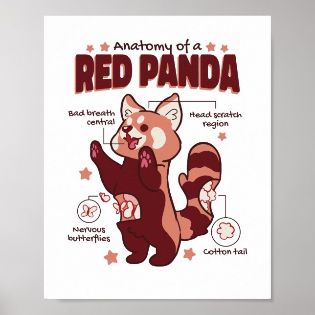 Anatomi hos en röd panda-djursköld poster (Framsidan)