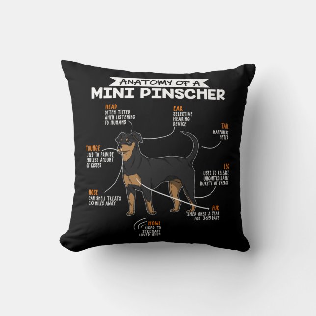 Anatomi hos en Rolig hund gåva av Mini Pinscher-äg Kudde (Framsida)